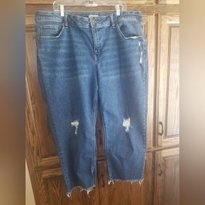 Women's plus size 22W AVA & VIV Jeans~❤👖